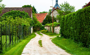 Pompes Funèbres Nogent-sur-Marne
